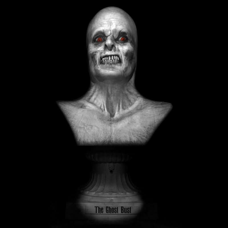 “Ghost Bust Pro – Haunt Rules” Animated Haunted Projection Prop