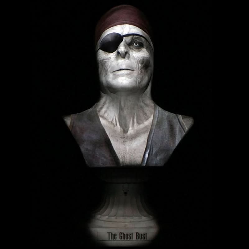 “Ghost Bust Pro – Pirate Captain’s Bust” Animated Haunted Projection Prop