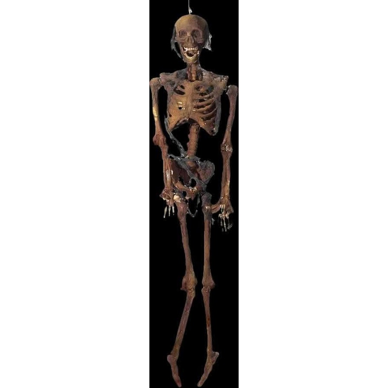 “Rotted Corpse” Skeleton Halloween Prop