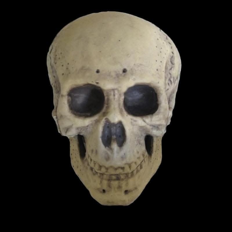 “Human Skull” Life Size Halloween Prop