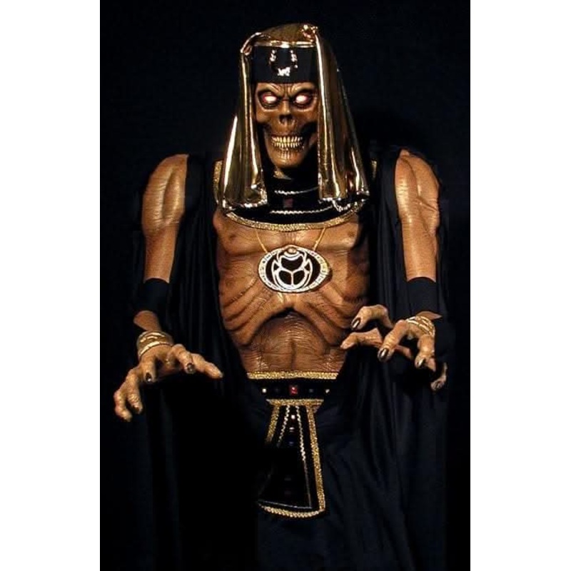“Stalkaround – Scare-O-Mummy” Professional Costume