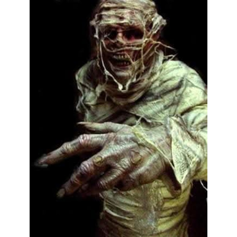 “The Mummy” Professional Costume