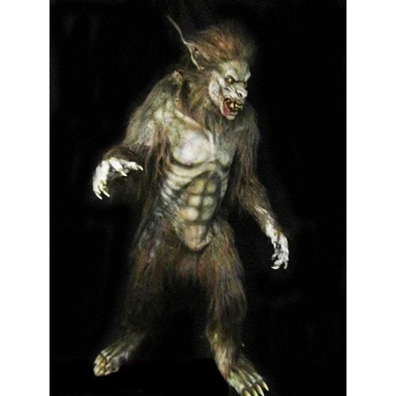 “Wolf Man” Professional Costume