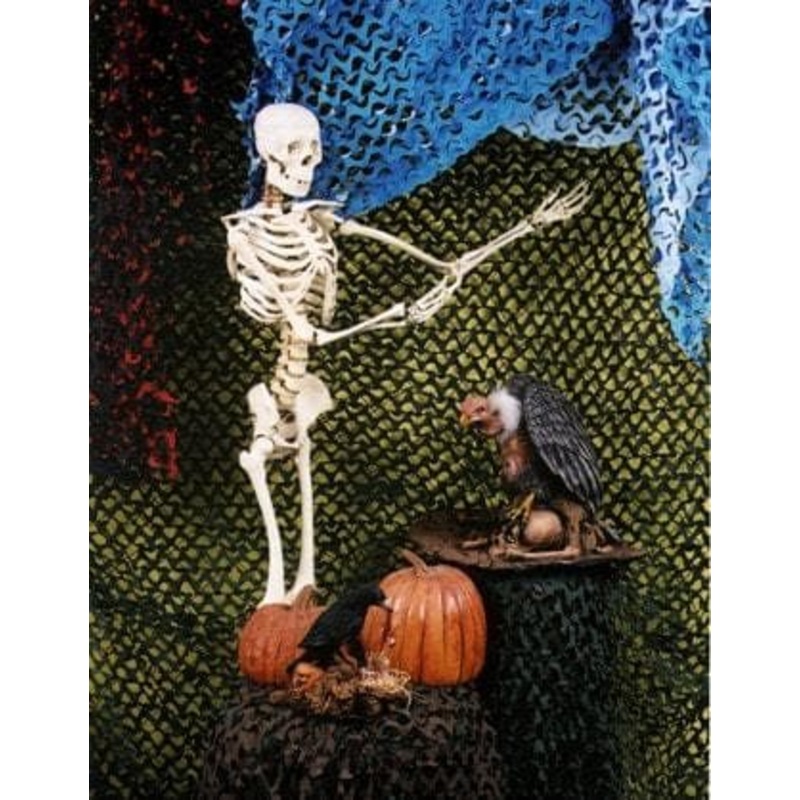 “Camo Crazy Background – 8 X 8 – Black / Orange” Haunted House Decoration