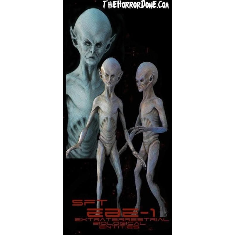 “EBE Extraterrestrial Biological Entity” Professional Alien Prop