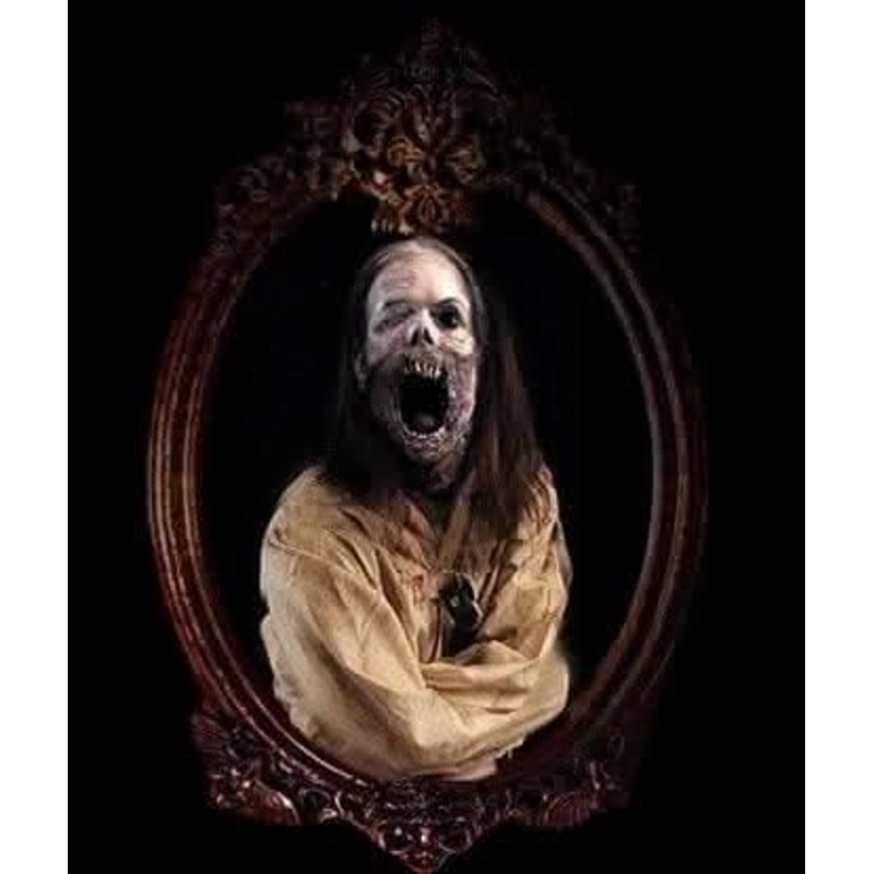 “Haunted Mirror – Zombie Asylum” Professional Animated Halloween Decoration With Speaker System