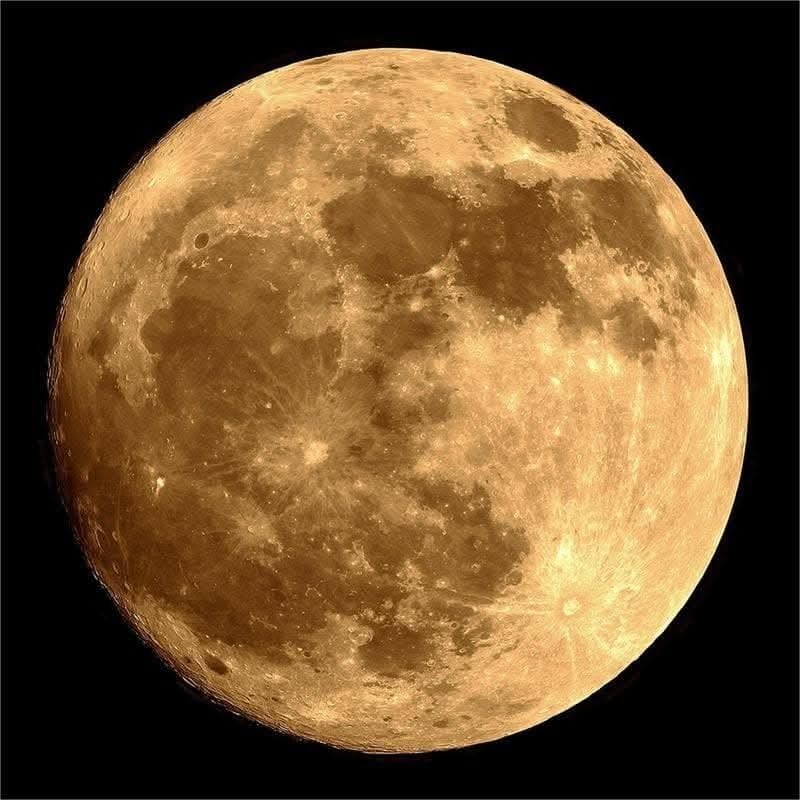 “i-Zombie Moon” Haunted House Lighting
