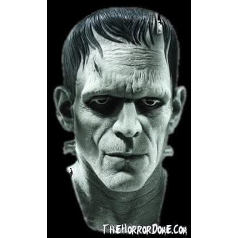 “Universal Studios Frankenstein” Mask