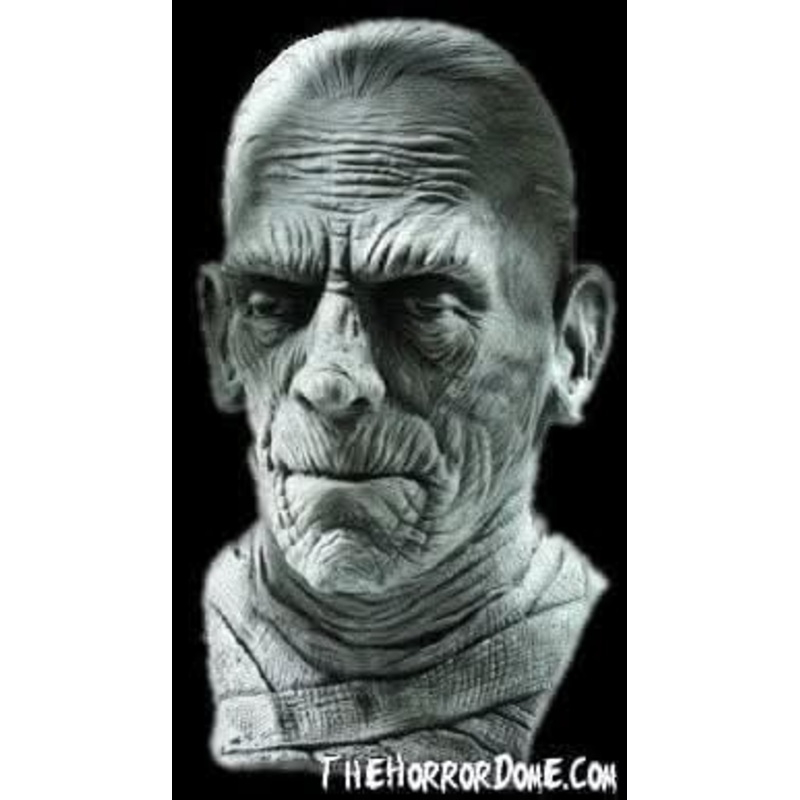 “Universal Studios Mummy” Mask