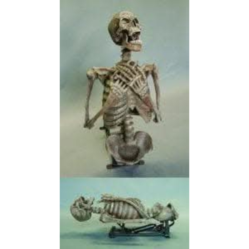 “Corpse Erector” Skeleton Halloween Animatronic