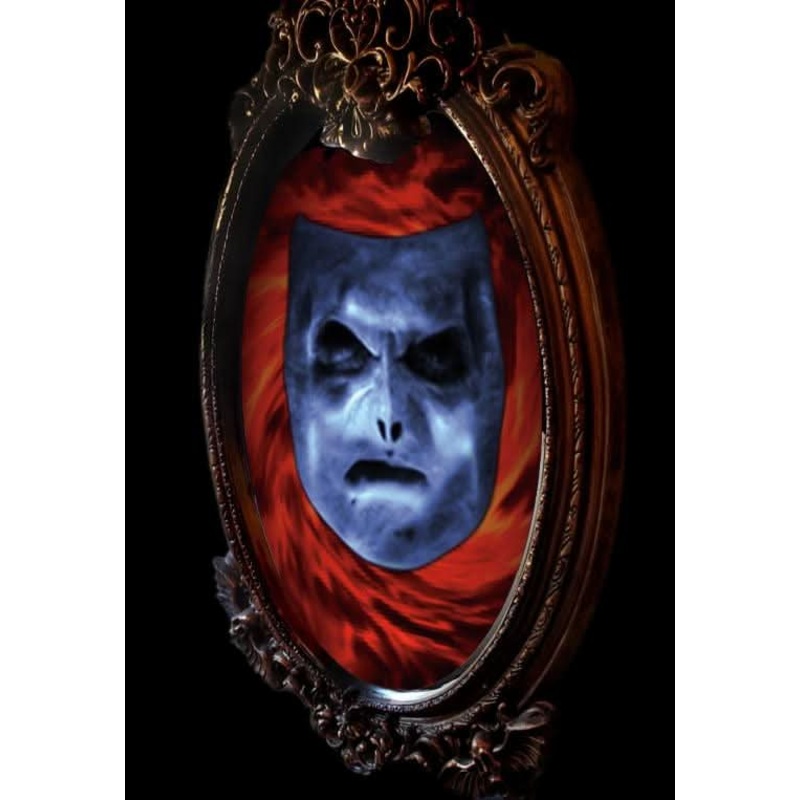 “Haunted Mirror, Mirror on the Wall” Professional Animated Halloween Decoration With Speaker System
