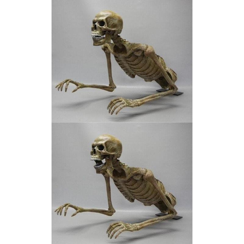 “Jaw Drop Peeper” Skeleton Halloween Animatronic