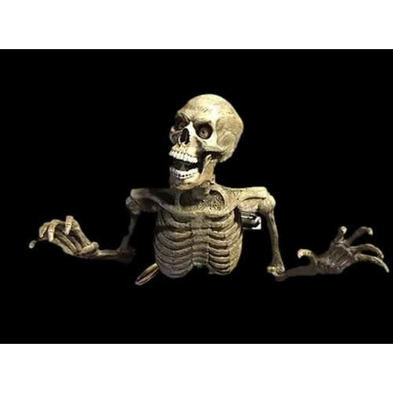 “Lunging Peeper” Skeleton Halloween Animatronic Standard