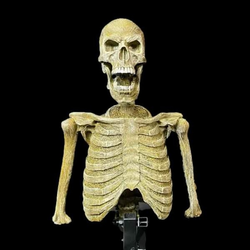 “Mini Popper” Skeleton Halloween Animatronic