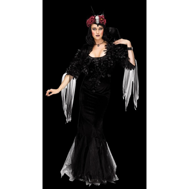 “Raven Mistress – Adult” Costume Small