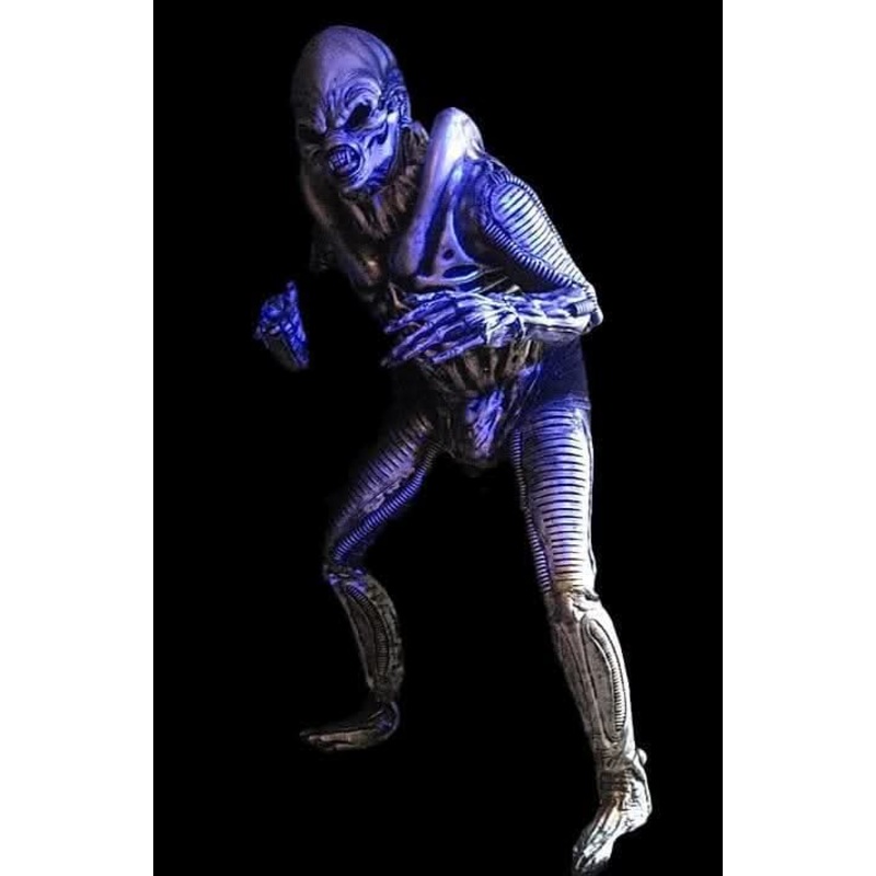 “Alien Reaper” Costume
