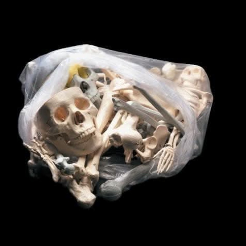 “Bag of Bones – Large” Halloween Prop