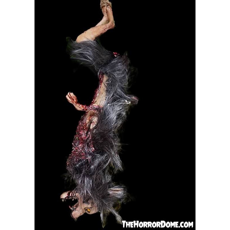 Gutted Baby Werewolf Hanging Prop