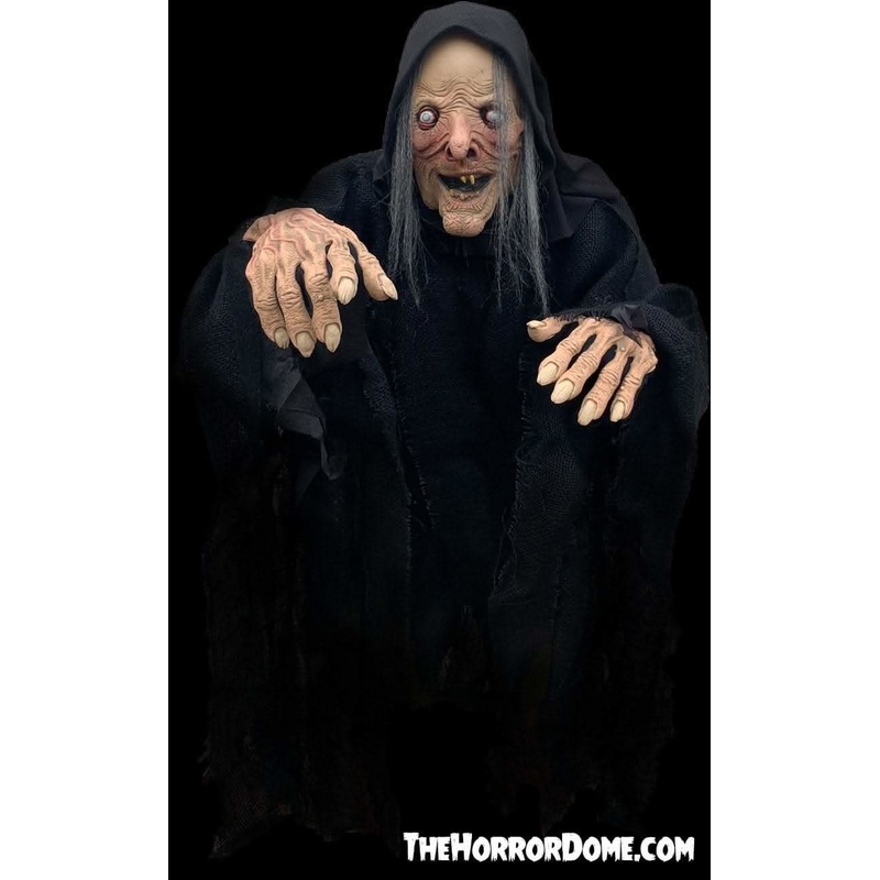 “Wicked Witch” HD Comfort Fit Halloween Costume Full Costume- Mask Hands and Shirt/Robe