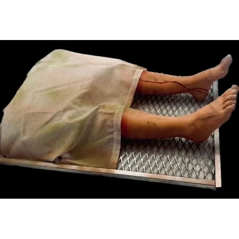 Animated Morgue Tray Halloween Animatronic