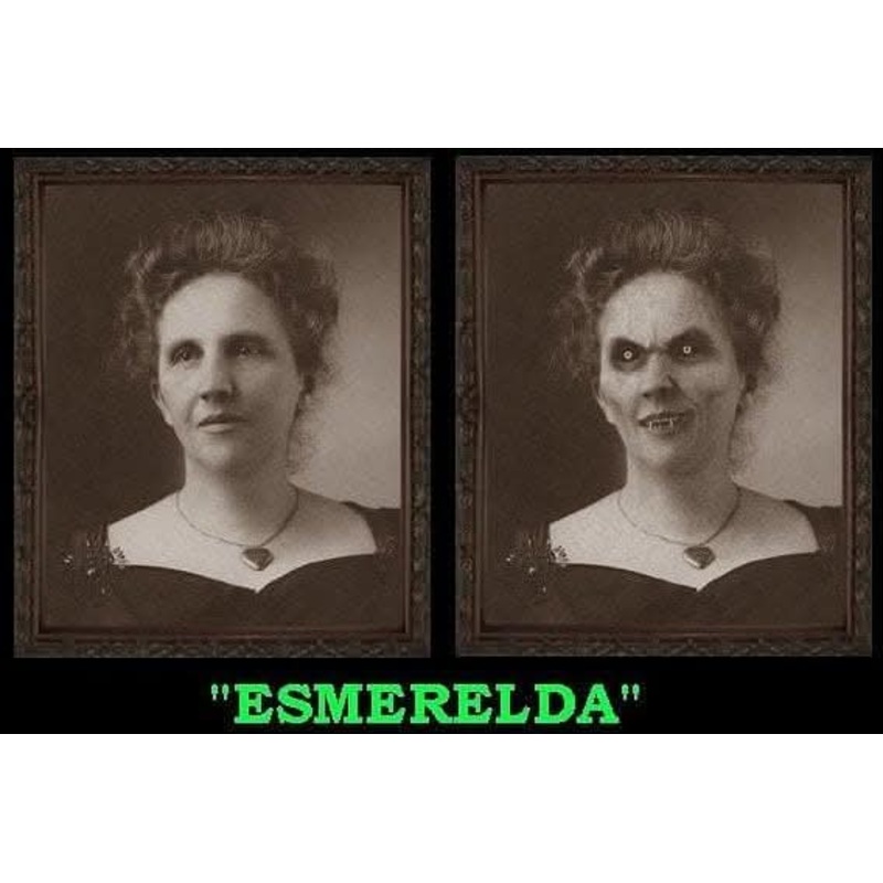 “Changing Portrait – Esmerelda” Hanging Halloween Decoration