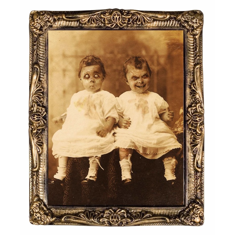 “Changing Portrait – Twins” Hanging Halloween Decoration