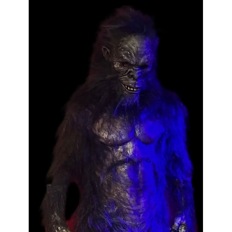 “Harry the Primate” Costume