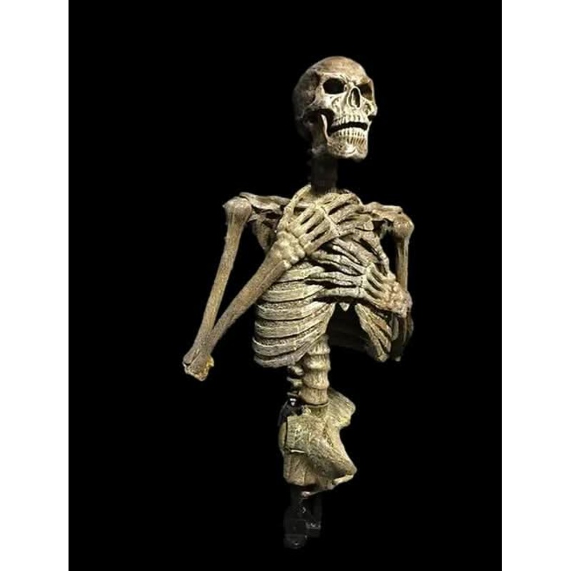 “Dead Rising” Skeleton Halloween Animatronic