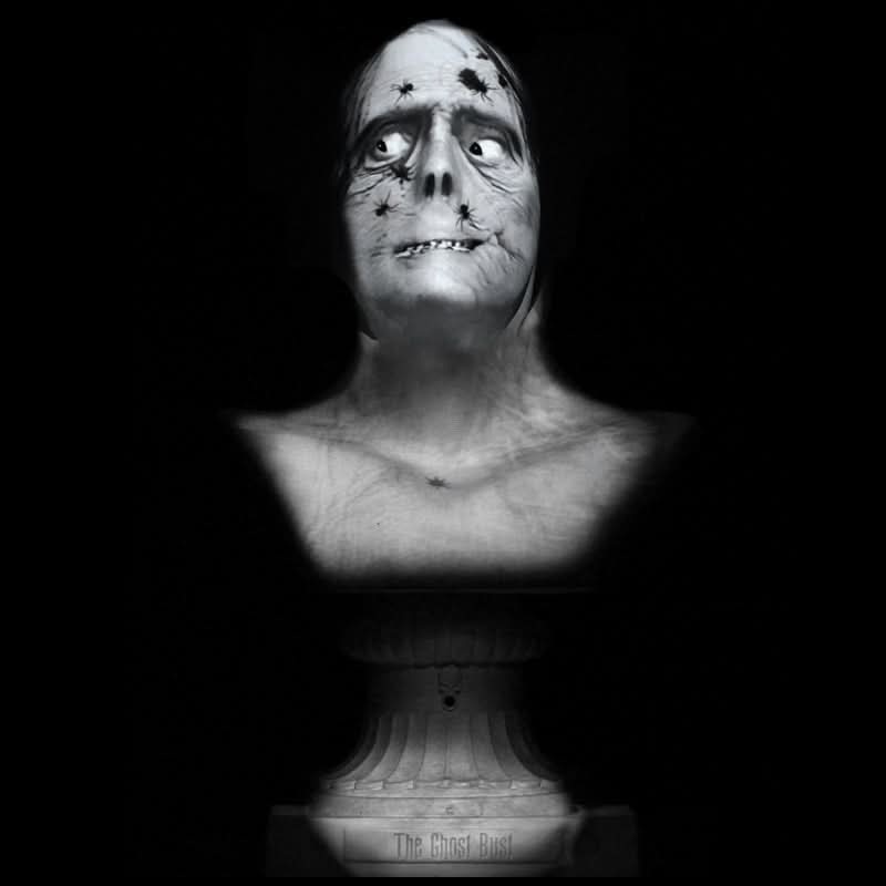 “Ghost Bust Pro – Spider Face” Animated Haunted Projection Prop