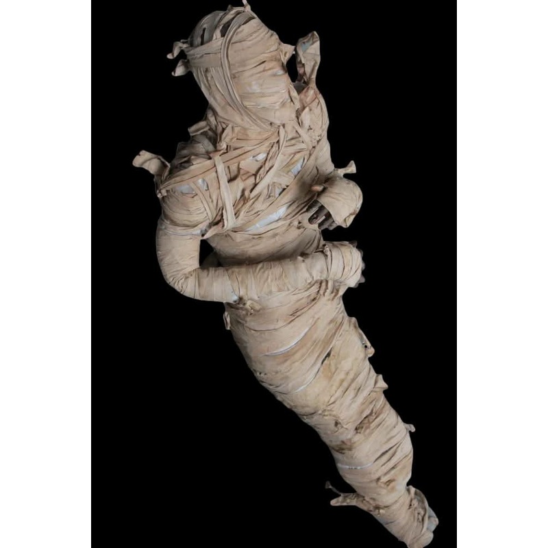 “Bandage Mummy” Professional Full Body Halloween Prop