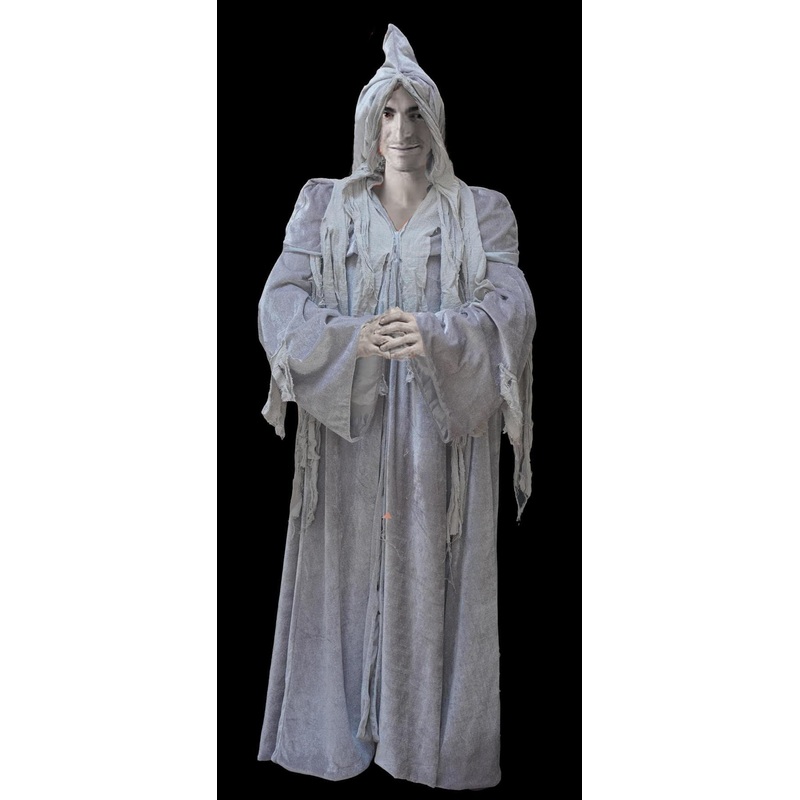 “Movie Quality Ghostly Cloak” Costume