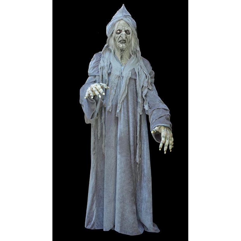 “Swamp Hag” HD Studios Costume Full costume with Mask, Hands, and Robe