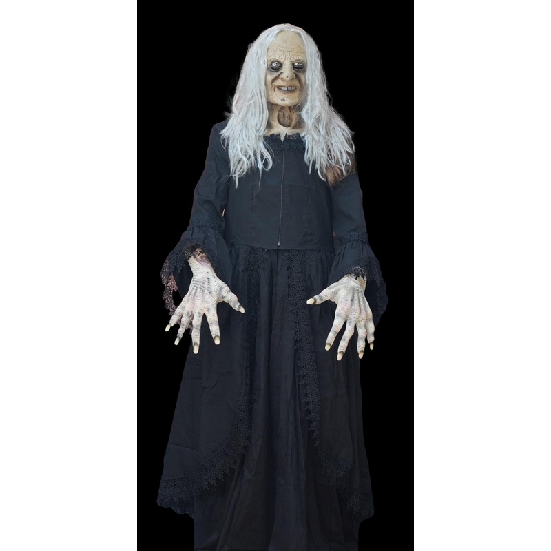 “Witchy Woman” HD Studios Halloween Costume Full costume with Mask, Hands, and Robe
