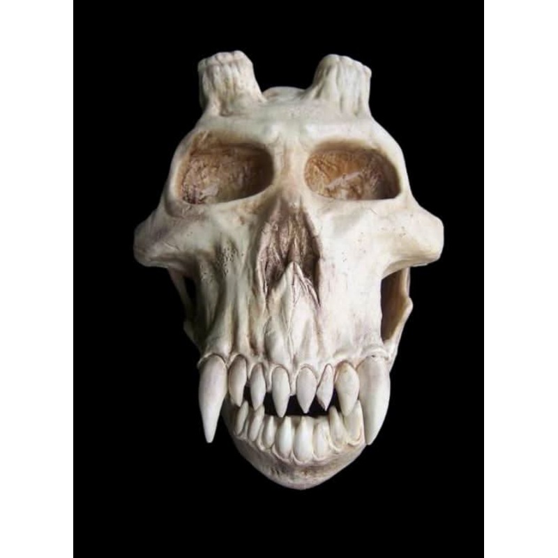 Chupacabra Skull Halloween Prop