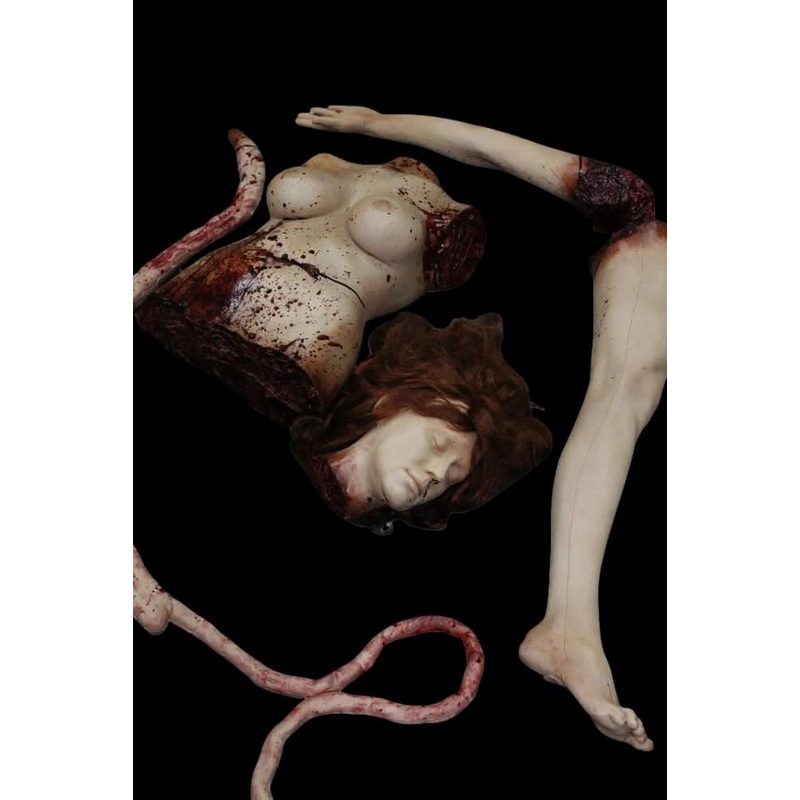 Female Mutilation Combo Halloween Prop