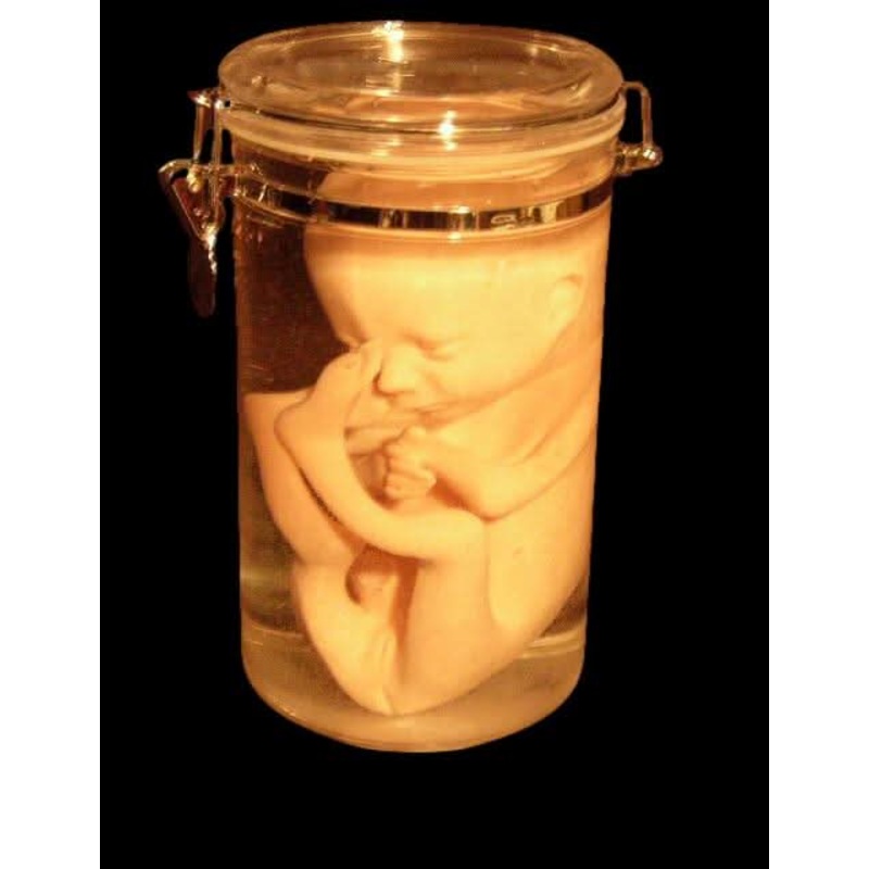 Fetus Replica 7 Month Specimen Jar Halloween Prop