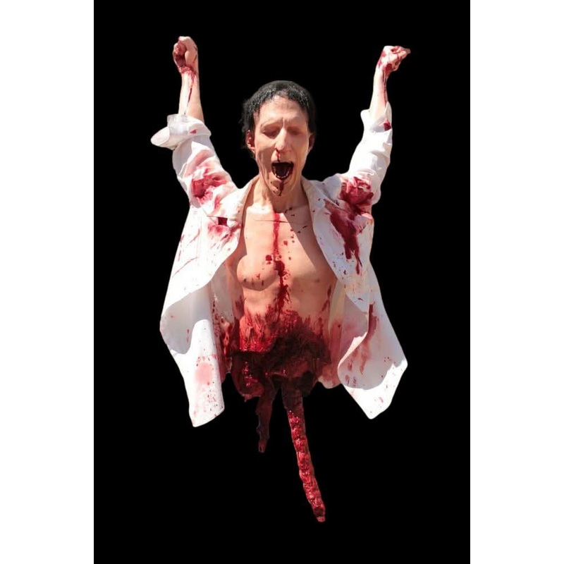 Hanging Gutted Martin Halloween Prop