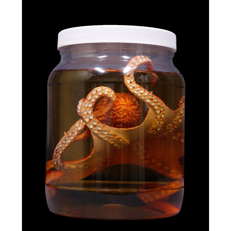 Large Octopus Replica Specimen Jar Halloween Prop