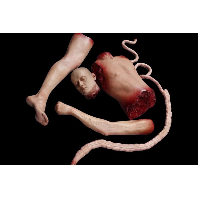 Male Mutilation Combo Halloween Prop