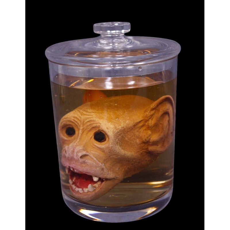 Monkey Head Specimen Jar Halloween Prop