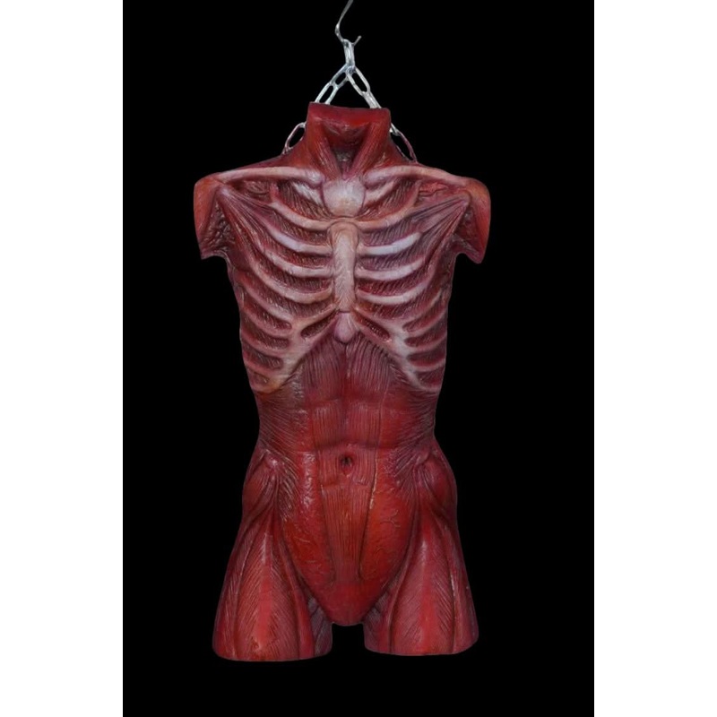 Muscle Torso Skin Halloween Prop