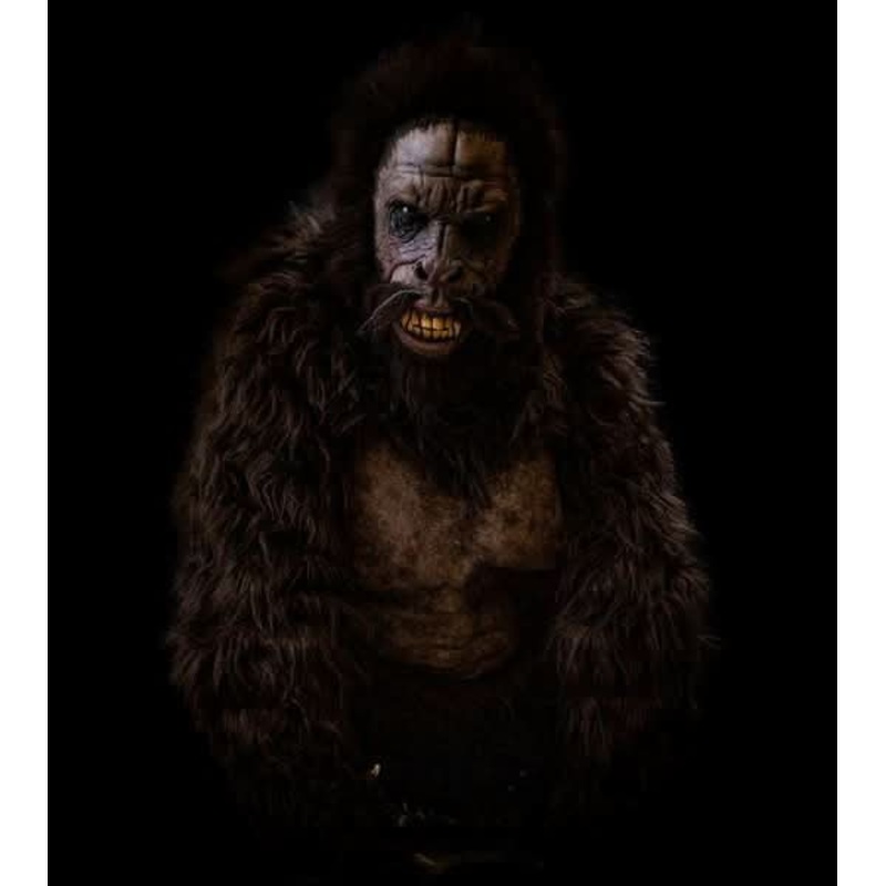 NEW FOR 2025 “Sasquatch” HD Studios Costume