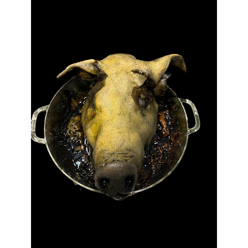 Rotten Pig Head in Pot Halloween Prop