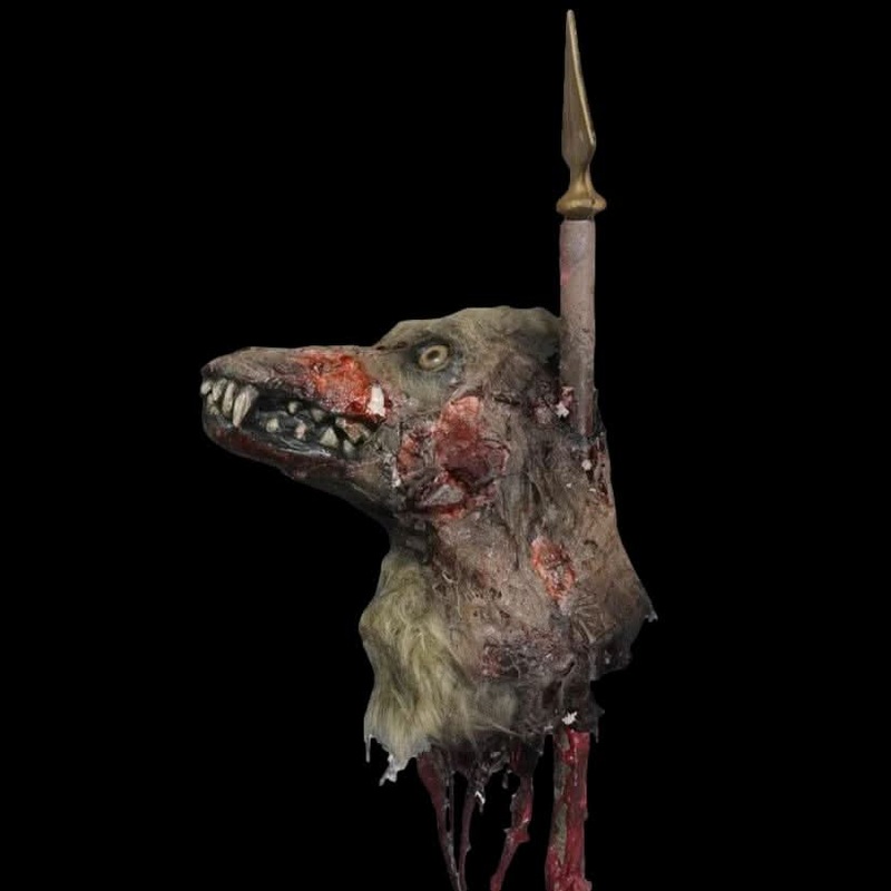 Rotting Coyote Head on Spike
