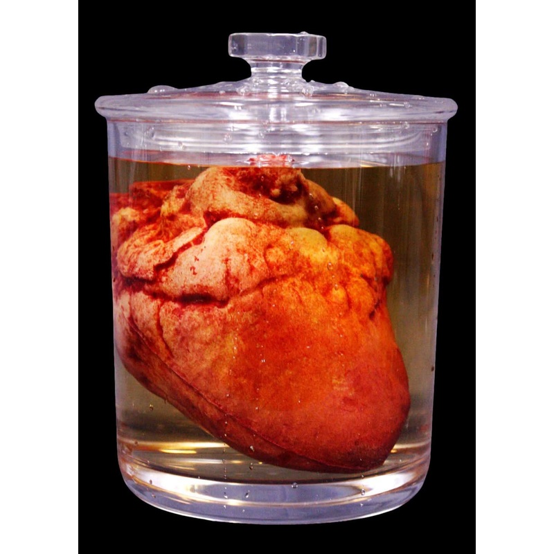 Small Lifelike Heart Specimen Jar Halloween Prop