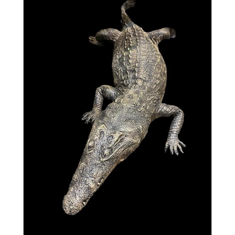“Dilly Crocodile” Professional Halloween Prop