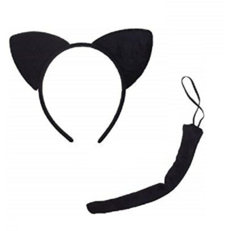 Cat Accessory Kit