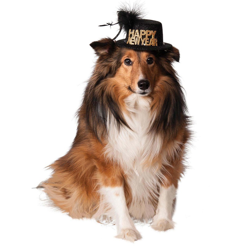 Happy New Year Black and Gold Pet Dog Hat S-M