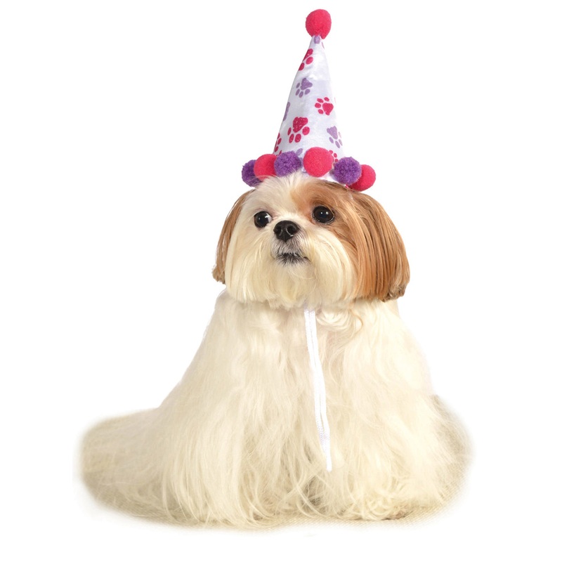 Paw Print Birthday Girl Pet Dog Party Hat S-M