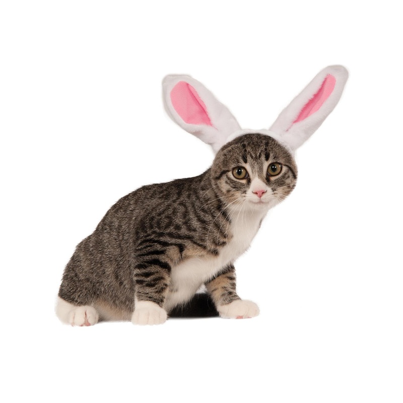 Plush White and Pink Bunny Ears Cat Headband S-M